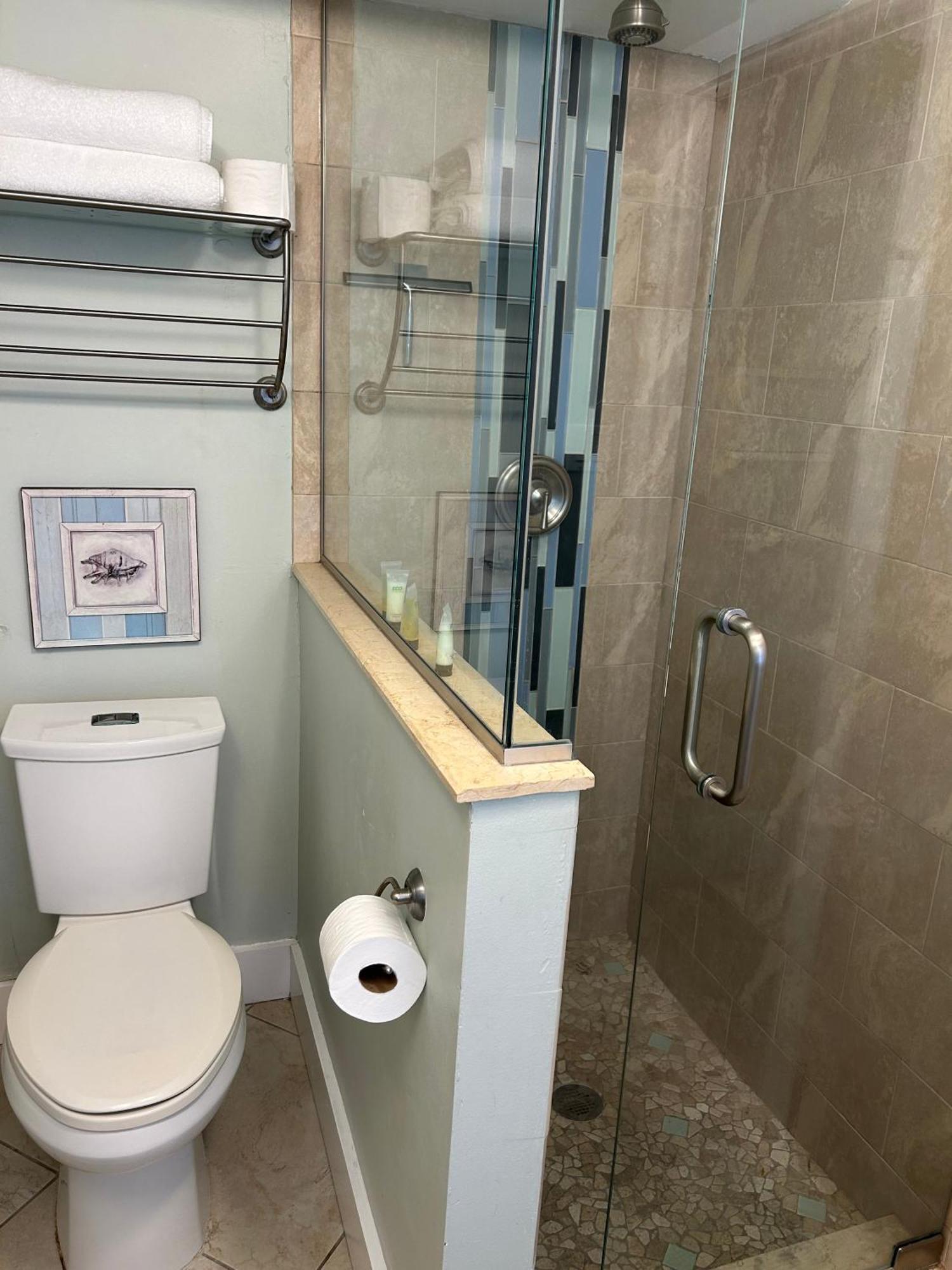סיינט פיט ביץ' Cozy Beach Rental 1B/1B מראה חיצוני תמונה